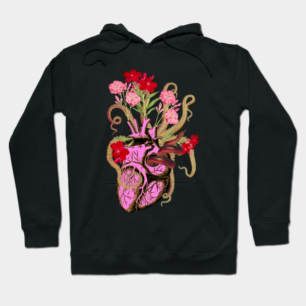 Te amo usque ad mortem Hoodie by Black Rabbit Curiosities 